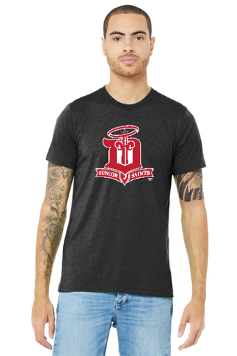 Bella Canvas Unisex Triblend Tee - DJS